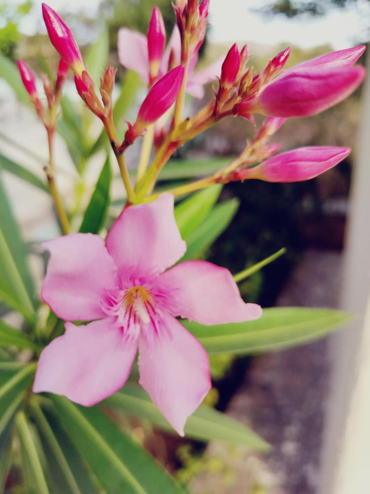 The Heart Of Heaven Apartment Ambavna ภายนอก รูปภาพ