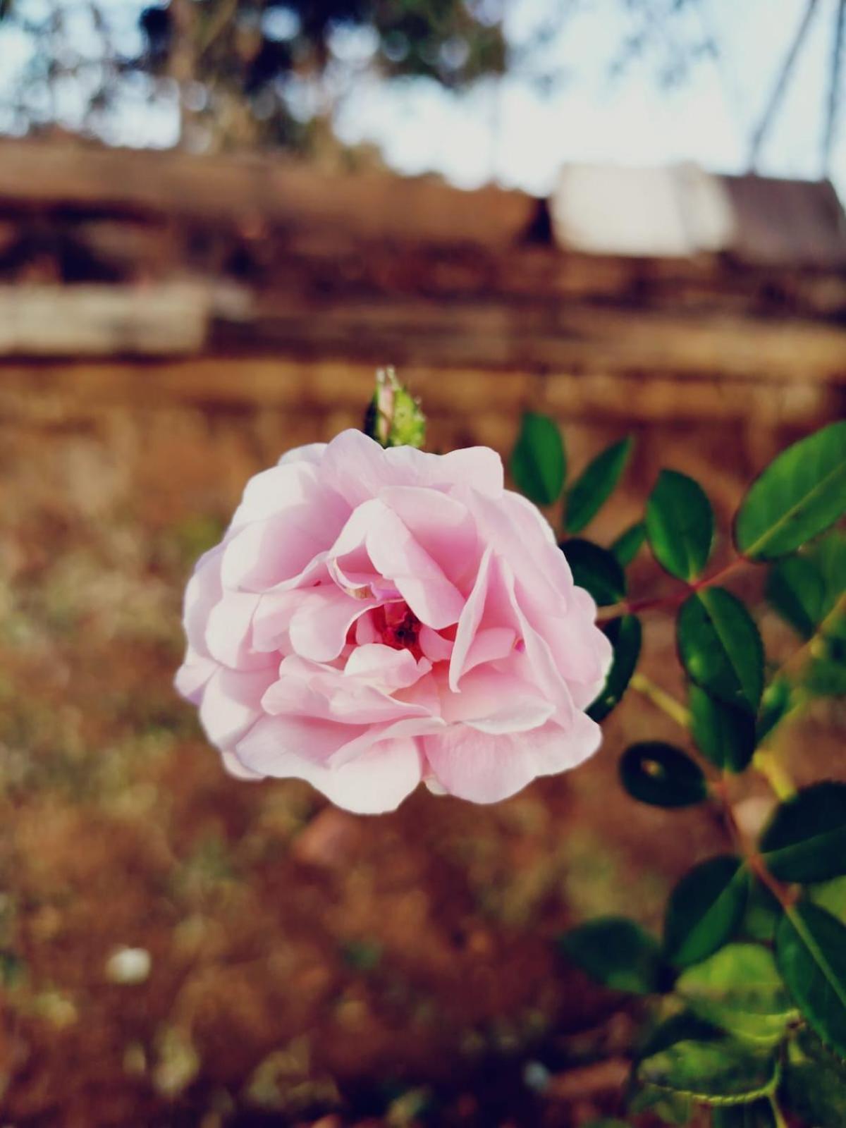 The Heart Of Heaven Apartment Ambavna ภายนอก รูปภาพ